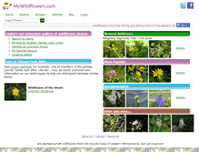 Tablet Screenshot of mywildflowers.com